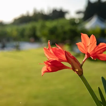 Agriturismo San Leonardello Çiftlik konaklama *
